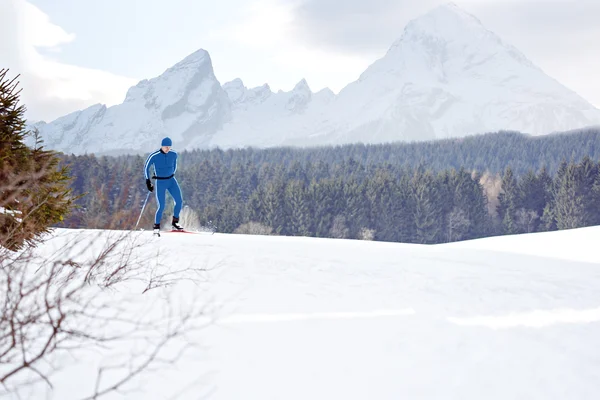 クロスカントリー スキー — ストック写真