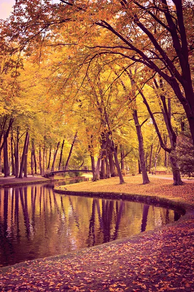 Парк осенью — стоковое фото