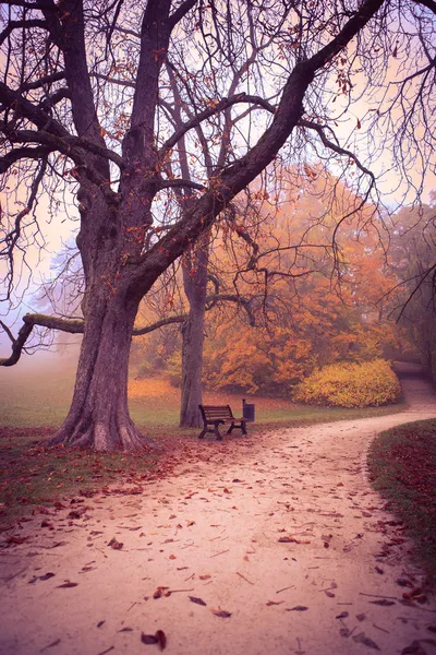 Park in het najaar — Stockfoto