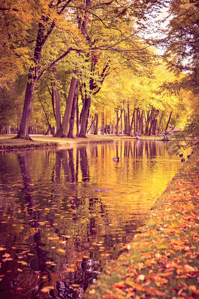 Park in het najaar — Stockfoto