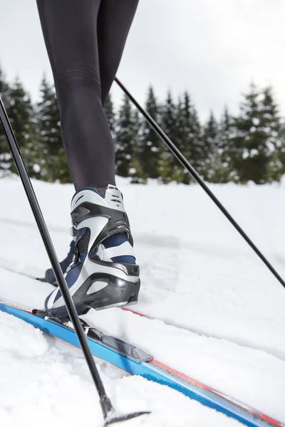 Skilanglauf — Stockfoto