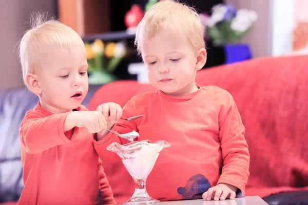 Ice cream — Stock Photo, Image