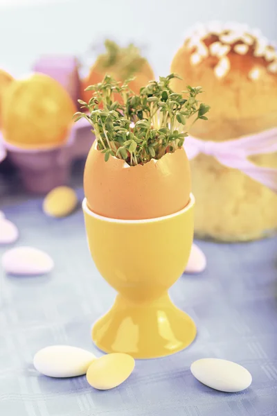 Easter bread — Stock Photo, Image