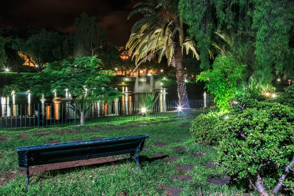 Parque tropical à noite — Fotografia de Stock