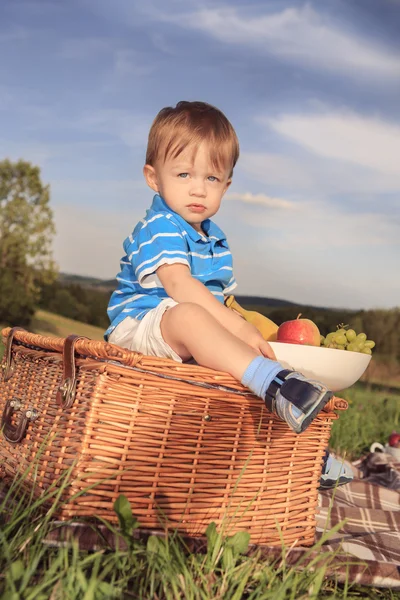 Menino de piquenique — Fotografia de Stock