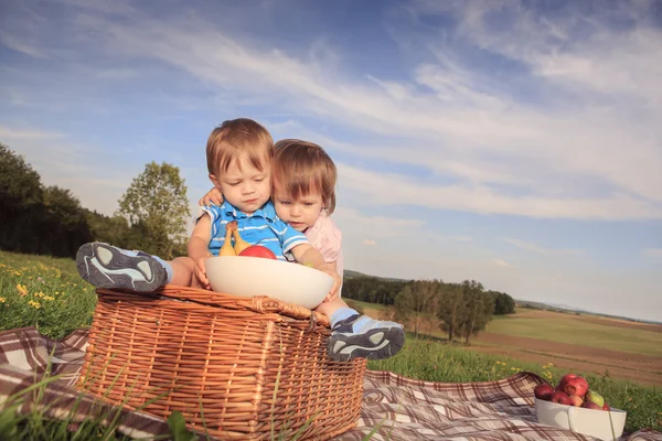 Twins on the meadow — Stock Photo, Image