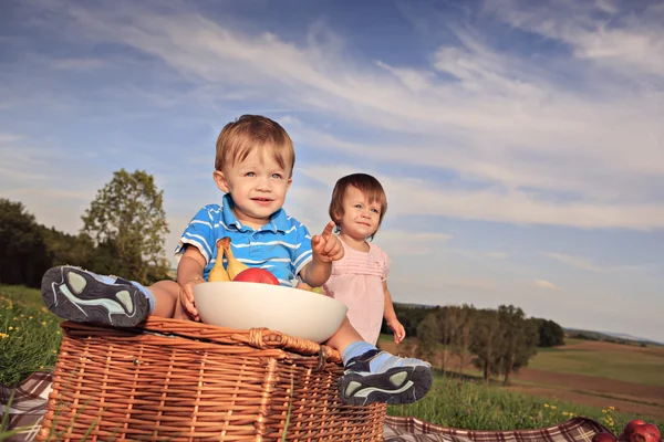 Twins on the meadow — Stock Photo, Image