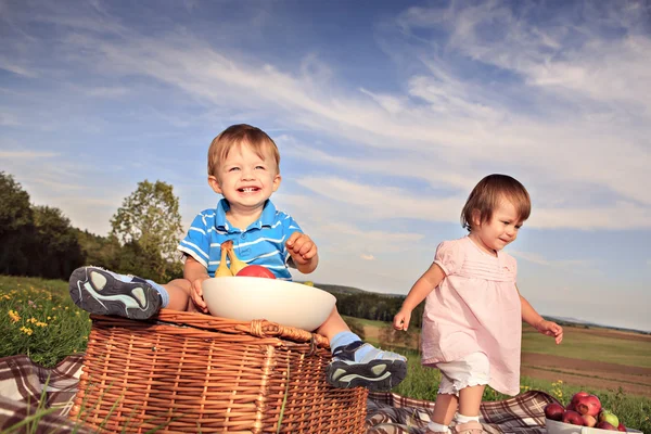 Tvillingar på ängen — Stockfoto