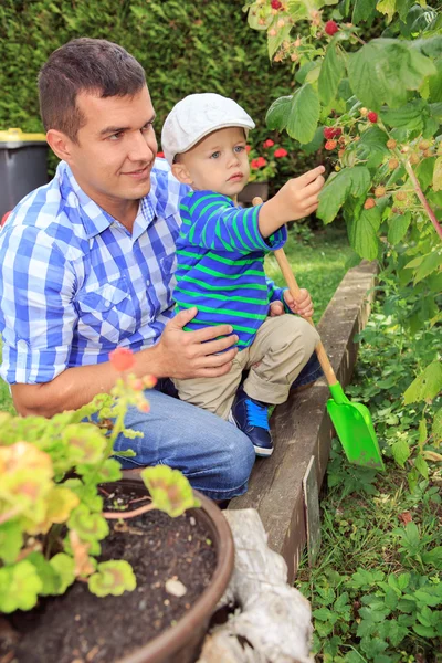 In the garden — Stock Photo, Image