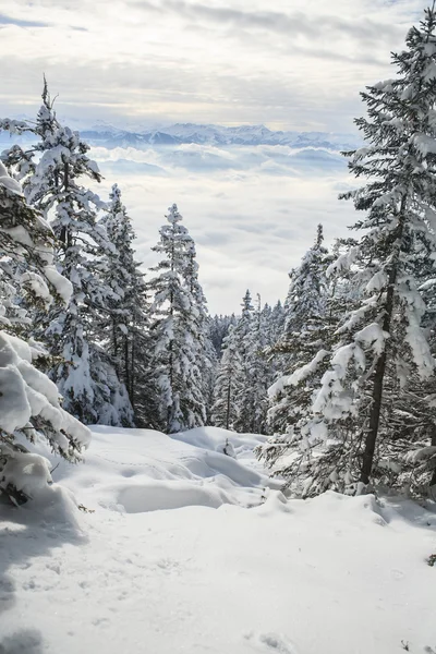 Szczyt Schneeberg — Zdjęcie stockowe