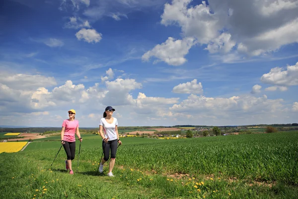 Nordic walking- — Stockfoto