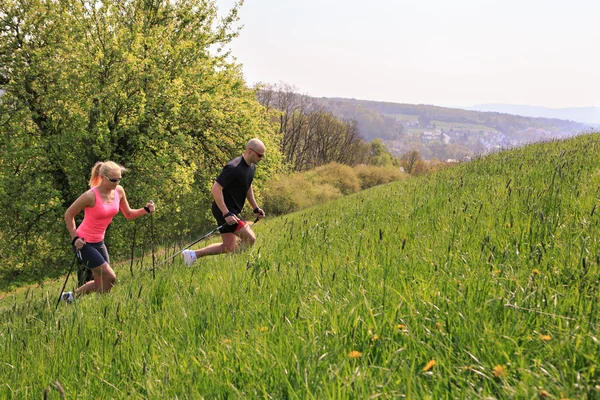 Stavgångpro nordic walking — Stockfoto