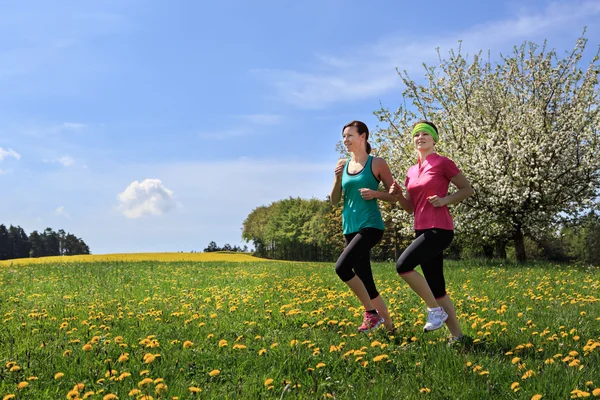 Donne che fanno jogging — Foto Stock