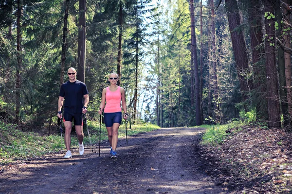 Nordic walking- — Stockfoto