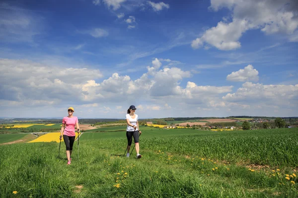 Nordic walking — Stock fotografie