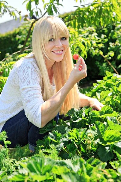 Woman eating strawberries — Stock Photo, Image