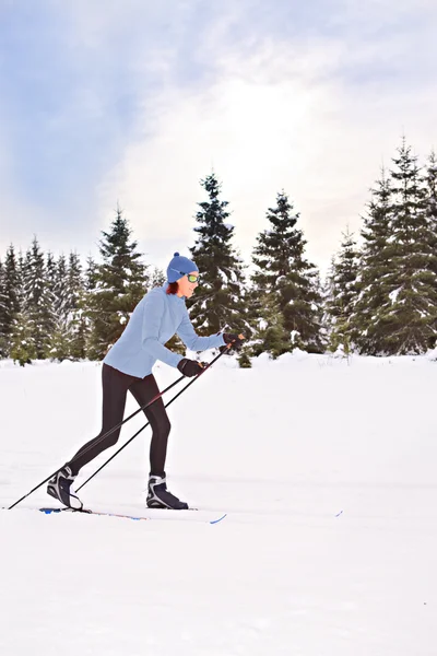 Ski de fond — Photo