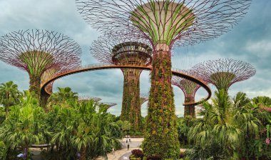 SİNGAPORE, SINGAPORE - CRCA SEPTEMBER, 2017: The Supertree Grove in Gardens by the Bay, Singapur.