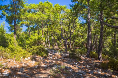 Türkiye 'nin Antalya ilinin Kemer ilçesi yakınlarındaki kıyıları.