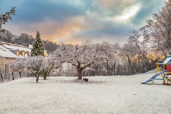 Jardim Invernal Após Primeira Queda Neve Alemanha — Fotografia de Stock