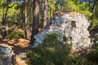 PHASELIS, TURKEY - CRCA OKTOBER, 2021: Phaselis, Kemer ilçesi yakınlarındaki antika kasaba harabesi.