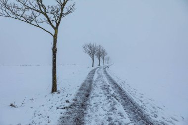 Almanya 'da dağınık ışıkta soğuk hava manzarası