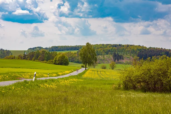 Landschap Van Zuid Thüringen Bij Eisfeld Thüringen Duitsland — Stockfoto