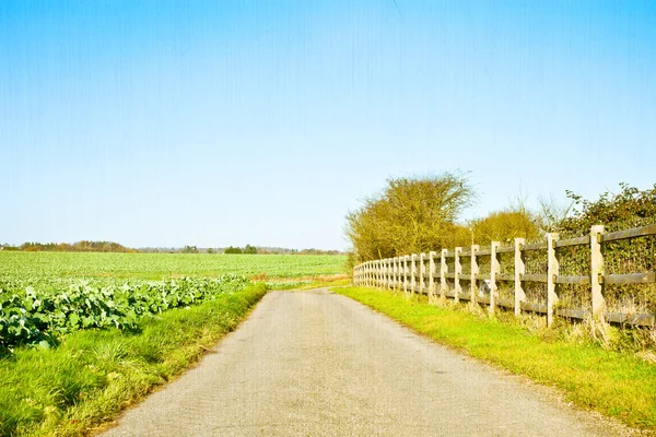 Campo inglês — Fotografia de Stock