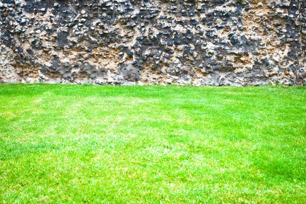 잔디와 돌 벽 — 스톡 사진