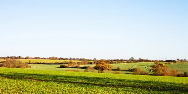 Suffolk landskap — Stockfoto