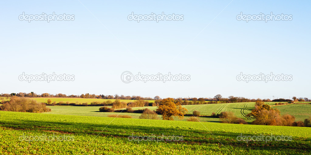 Suffolk Landscape