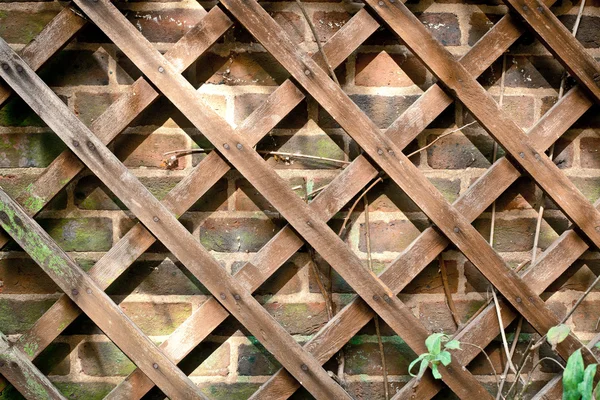 Encaje de jardín — Foto de Stock