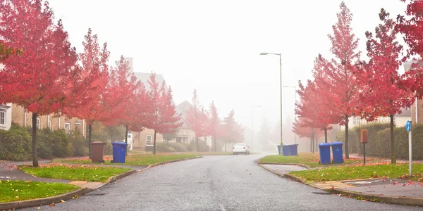 Escena de otoño — Foto de Stock