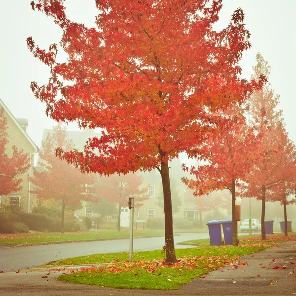 Herbstszene — Stockfoto