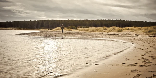 Findhorn Beach — Stock Photo, Image