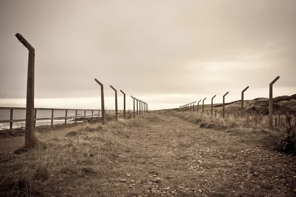 Chemin désaffecté — Photo