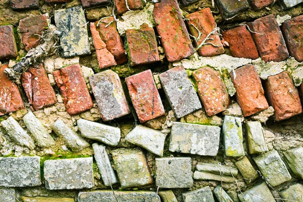 Veraltete Mauer — Stockfoto