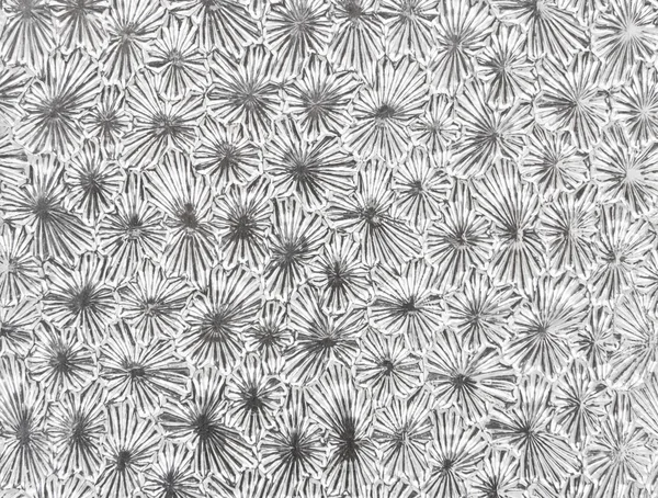 Frosted glass pattern — Stock Photo, Image