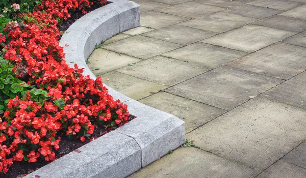 Flower bed — Stock Photo, Image