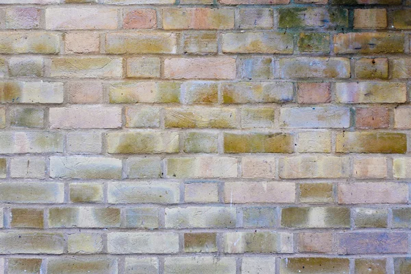 Brick wall — Stock Photo, Image