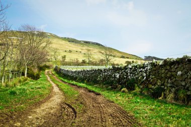 ülke track