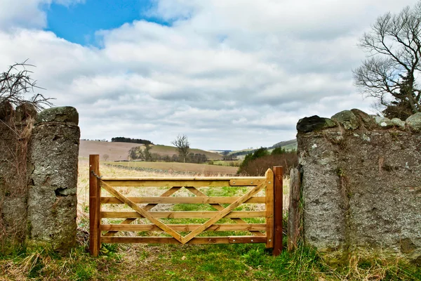 Puerta de madera — Foto de Stock