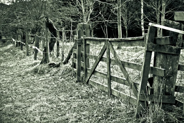 Oude poort — Stockfoto