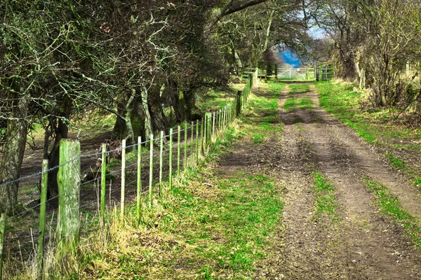 Pista di campagna — Foto Stock