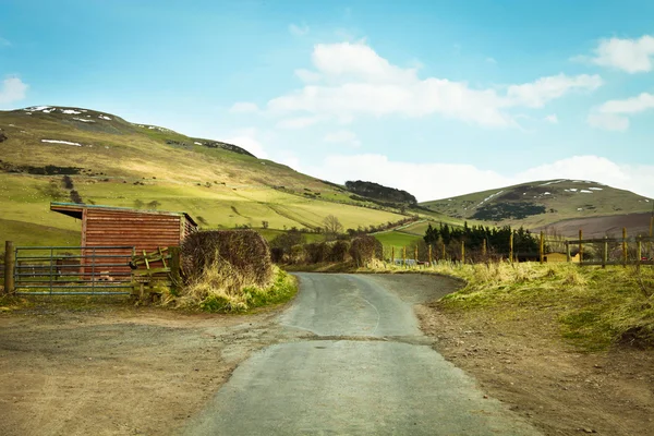 Country track — Stock Photo, Image