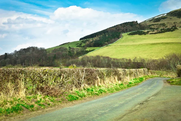 Country track — Stock Photo, Image