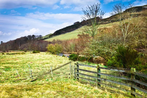 Colline di cheviot — Foto Stock