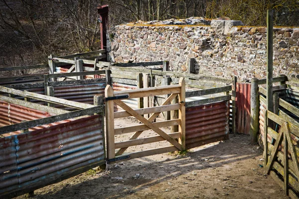 Sheep pen — Stock Photo, Image