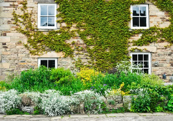 Cottage garden — Stockfoto