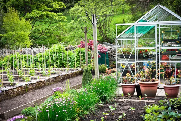 Jardim de legumes — Fotografia de Stock